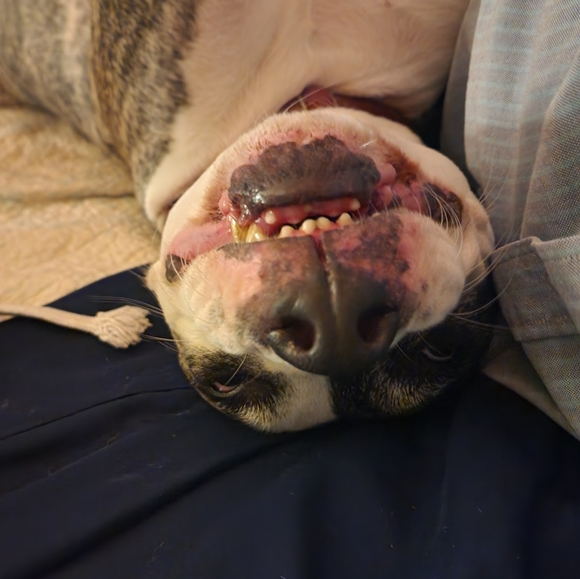 Meet your Posher, Joshua - Picture 2 of 2